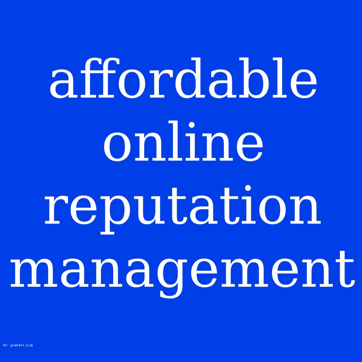 Affordable Online Reputation Management