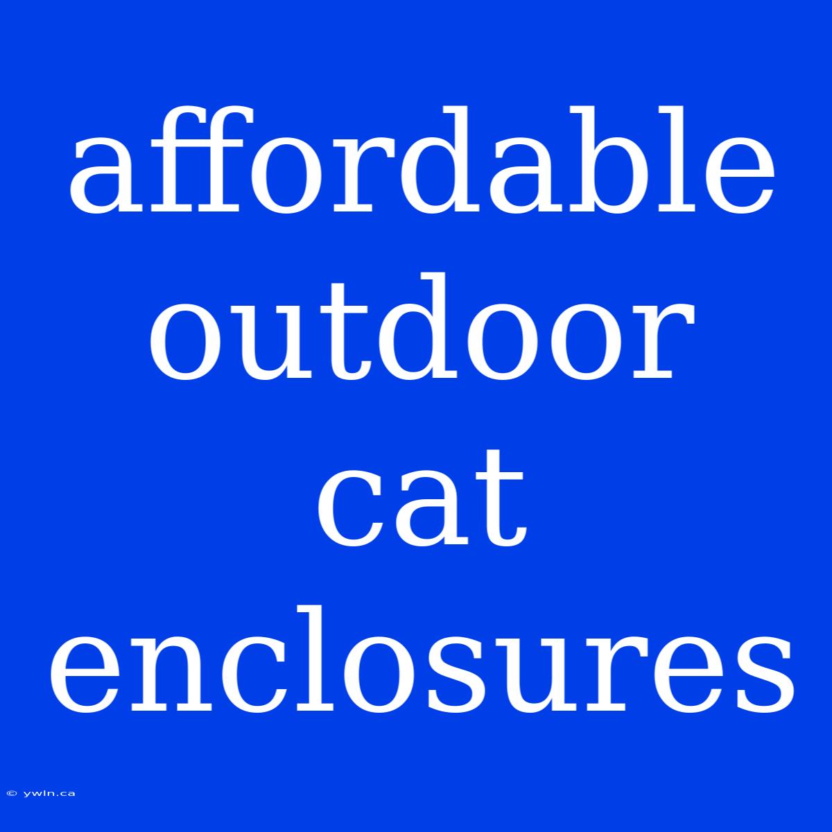 Affordable Outdoor Cat Enclosures