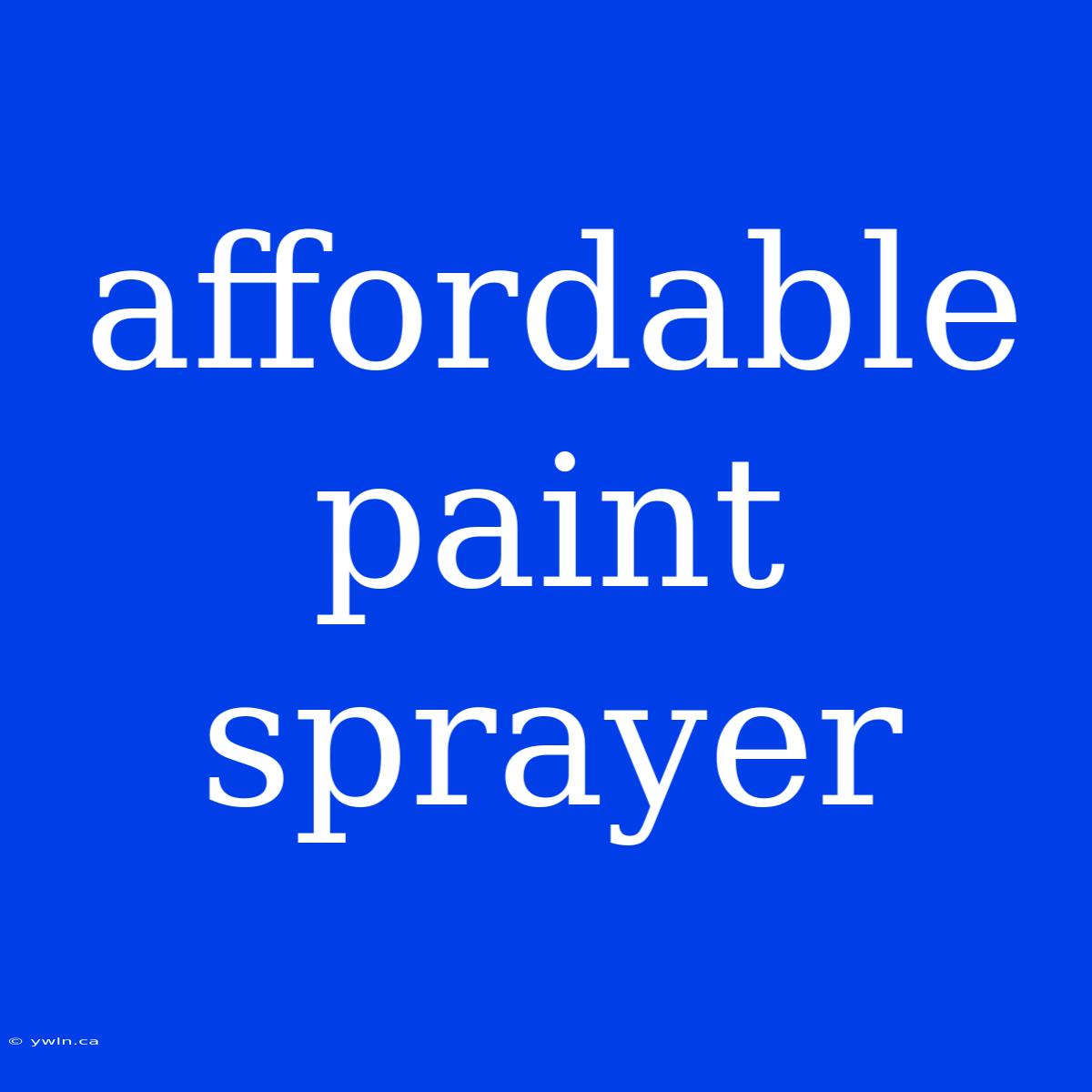 Affordable Paint Sprayer