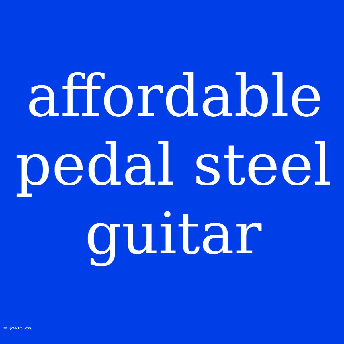 Affordable Pedal Steel Guitar