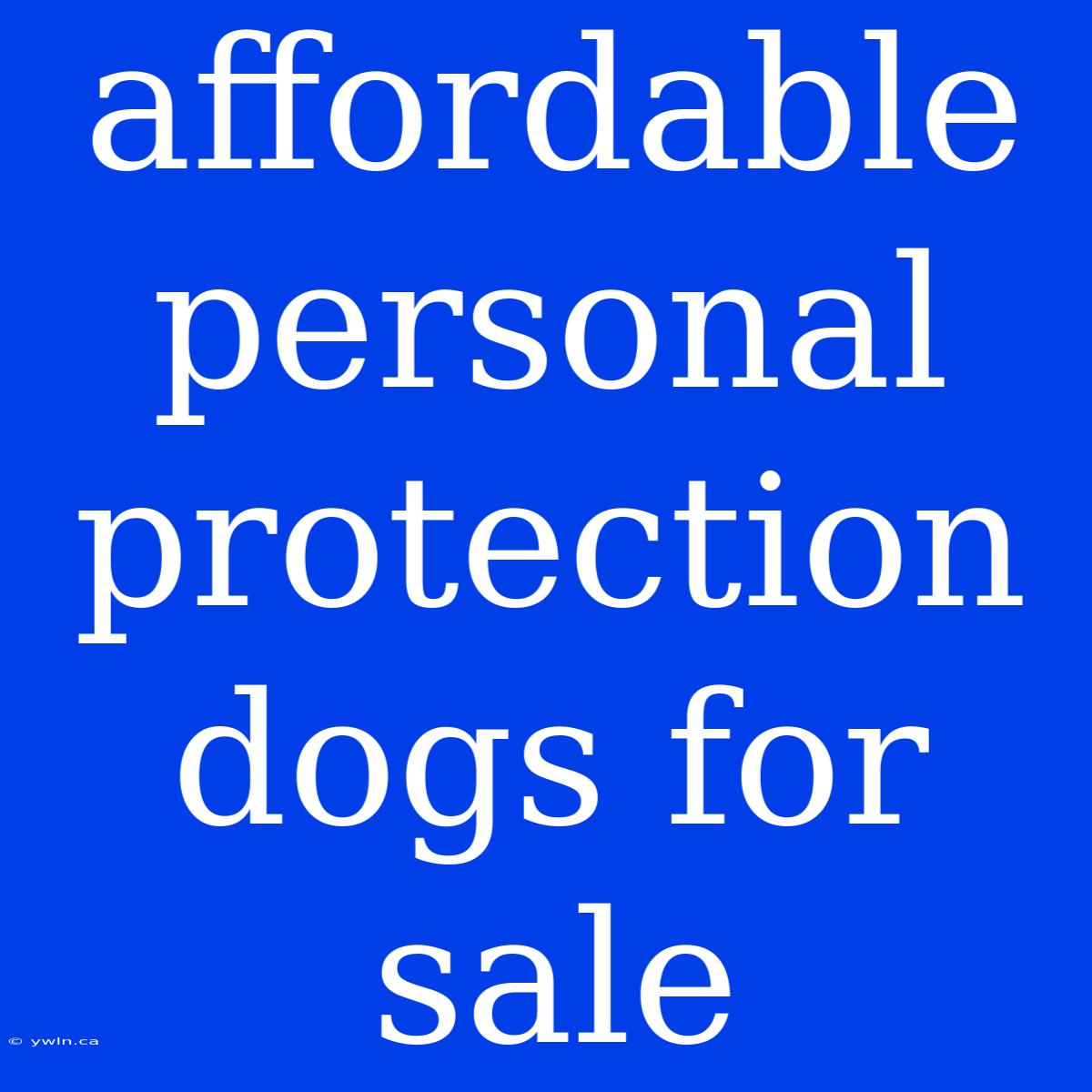 Affordable Personal Protection Dogs For Sale