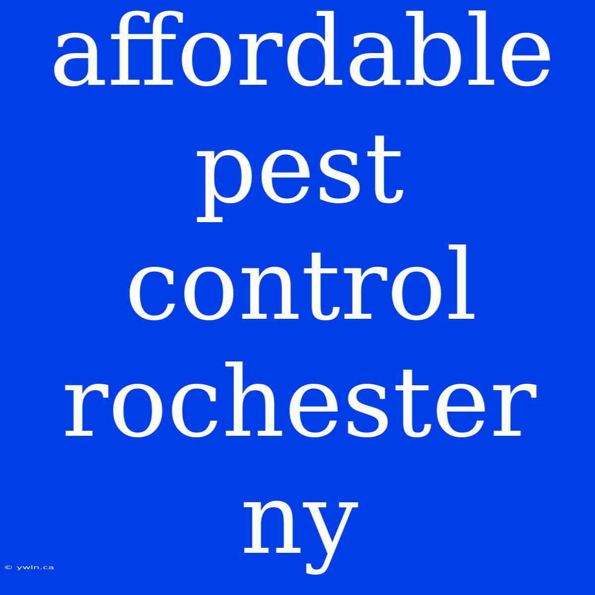 Affordable Pest Control Rochester Ny