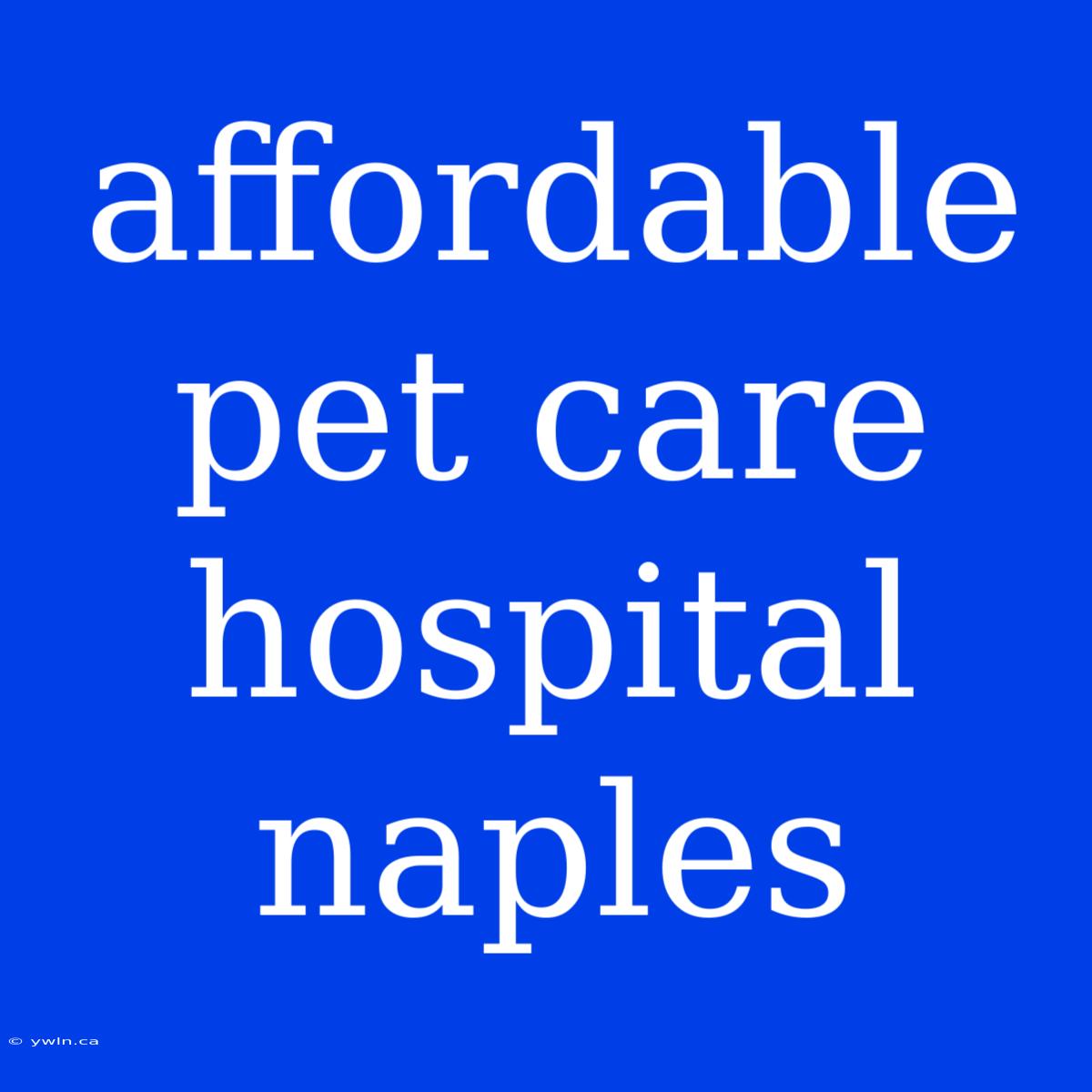 Affordable Pet Care Hospital Naples