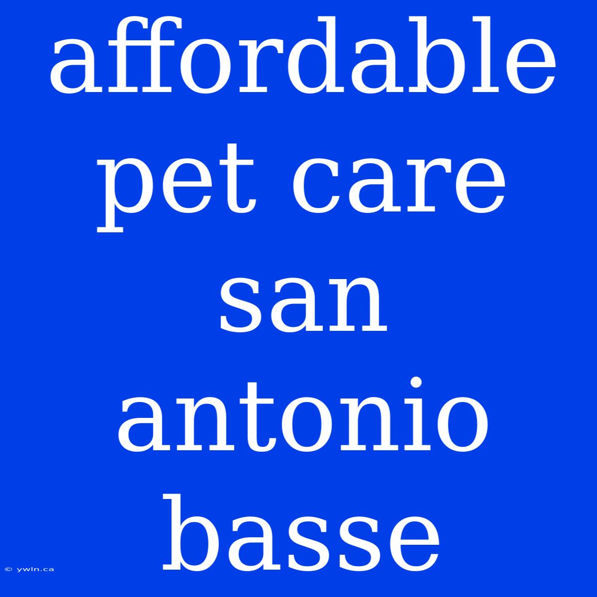 Affordable Pet Care San Antonio Basse