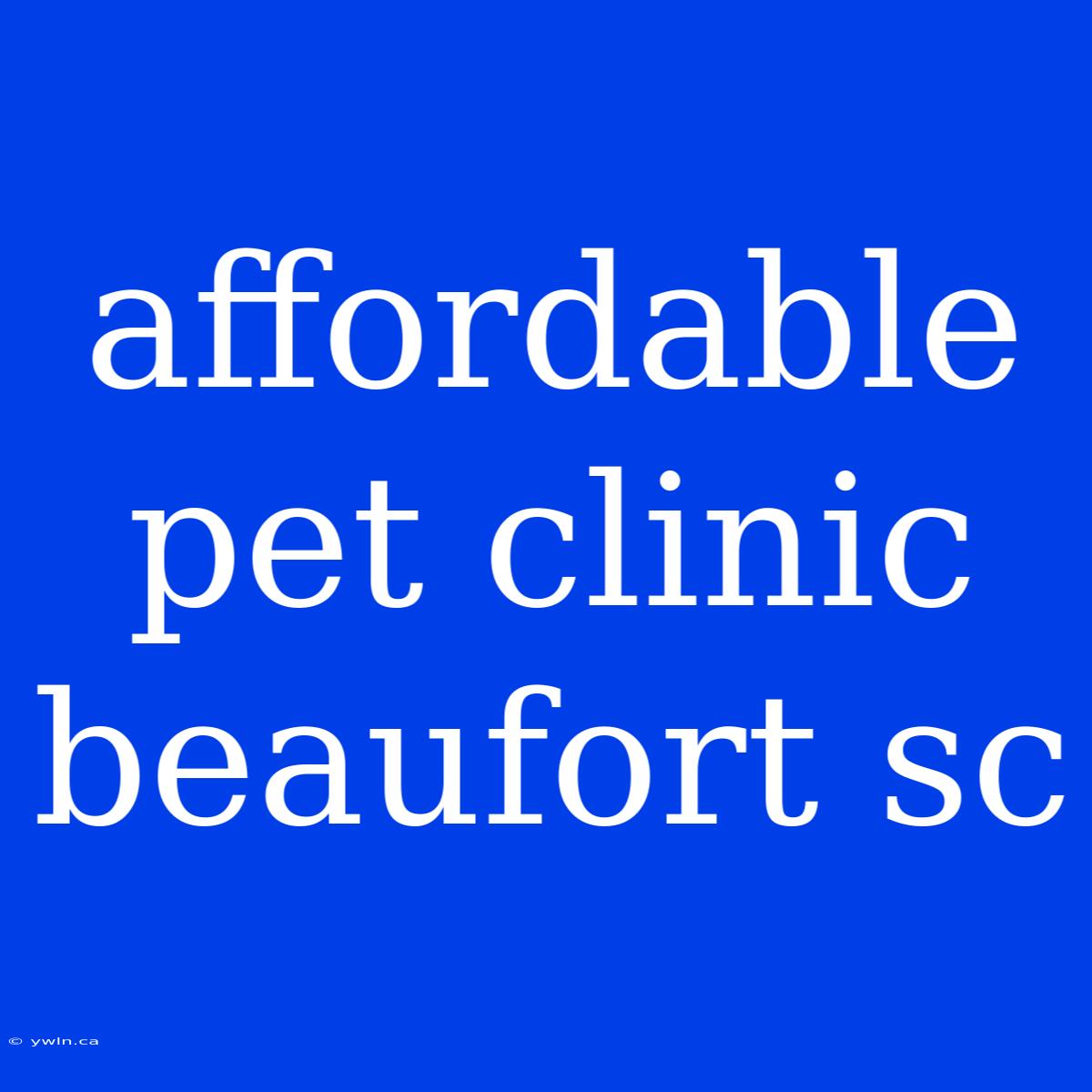 Affordable Pet Clinic Beaufort Sc