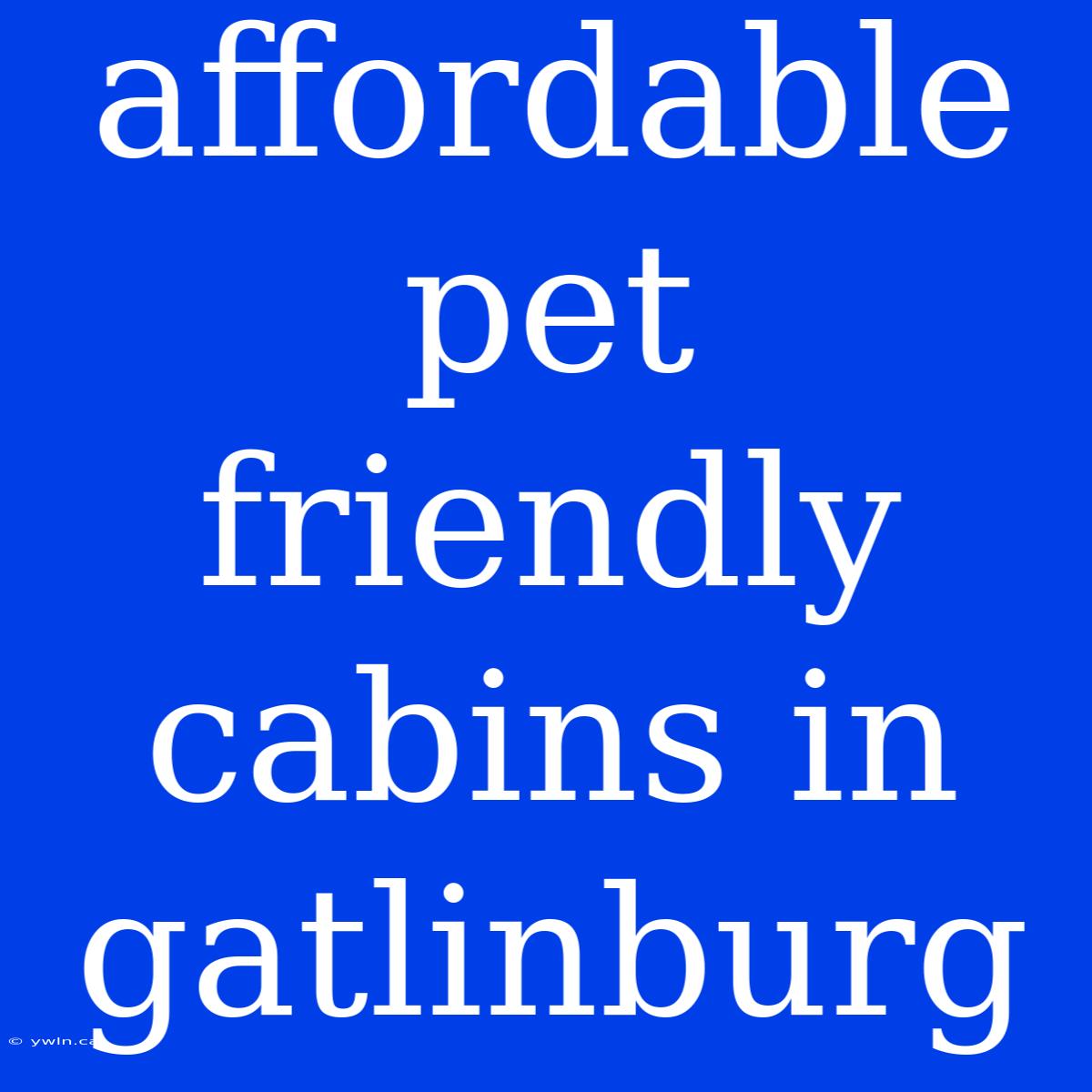 Affordable Pet Friendly Cabins In Gatlinburg