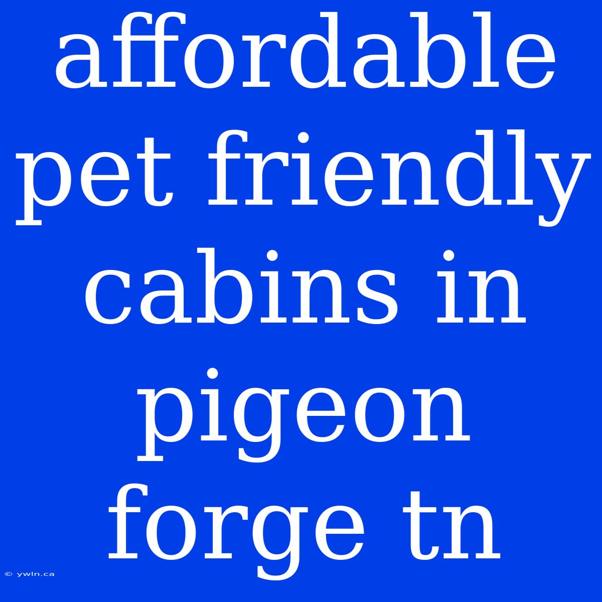 Affordable Pet Friendly Cabins In Pigeon Forge Tn