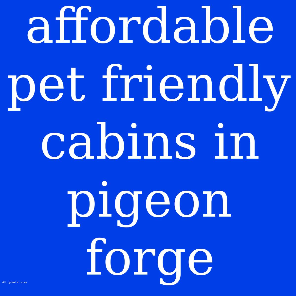 Affordable Pet Friendly Cabins In Pigeon Forge