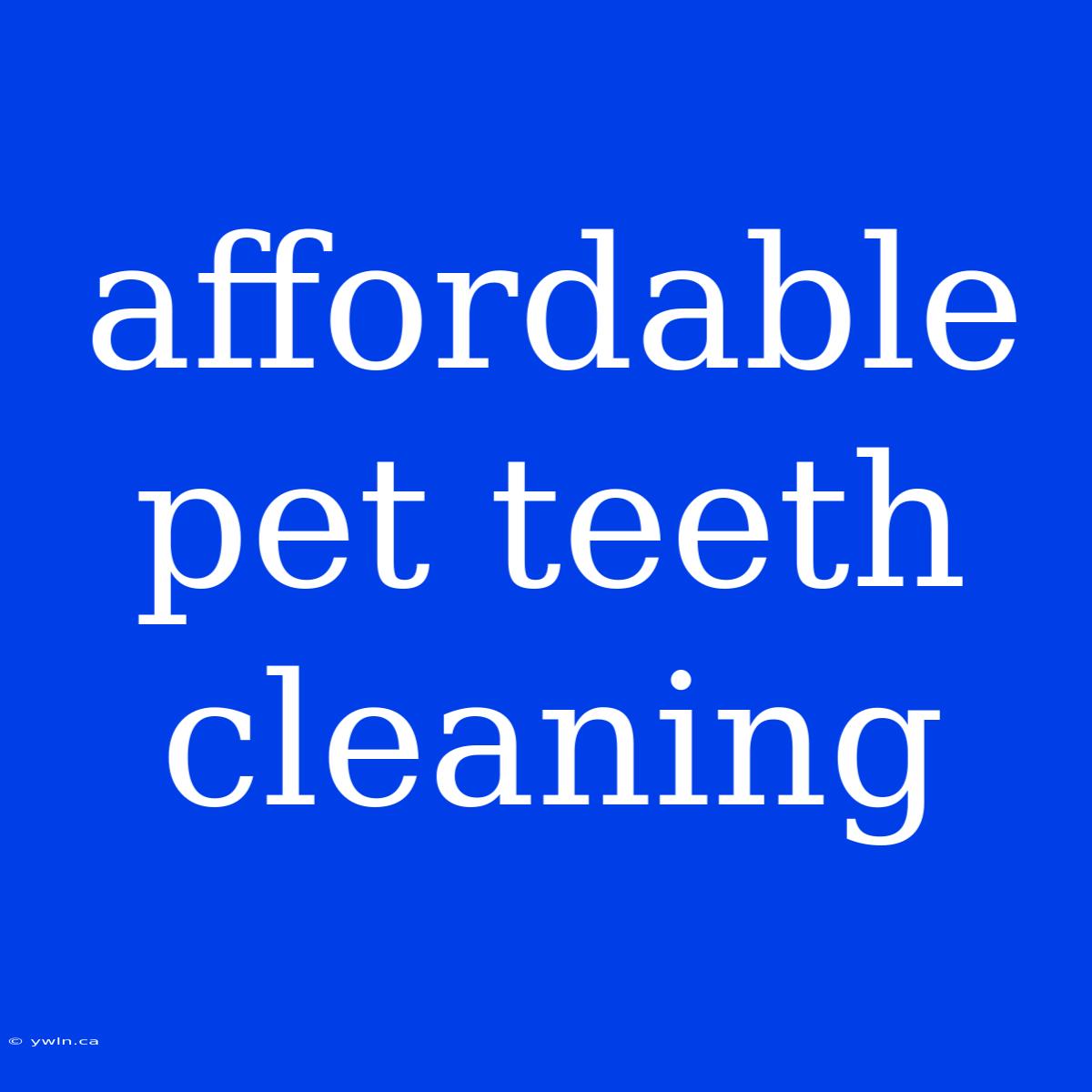 Affordable Pet Teeth Cleaning