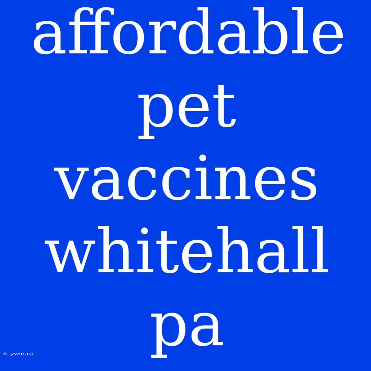 Affordable Pet Vaccines Whitehall Pa