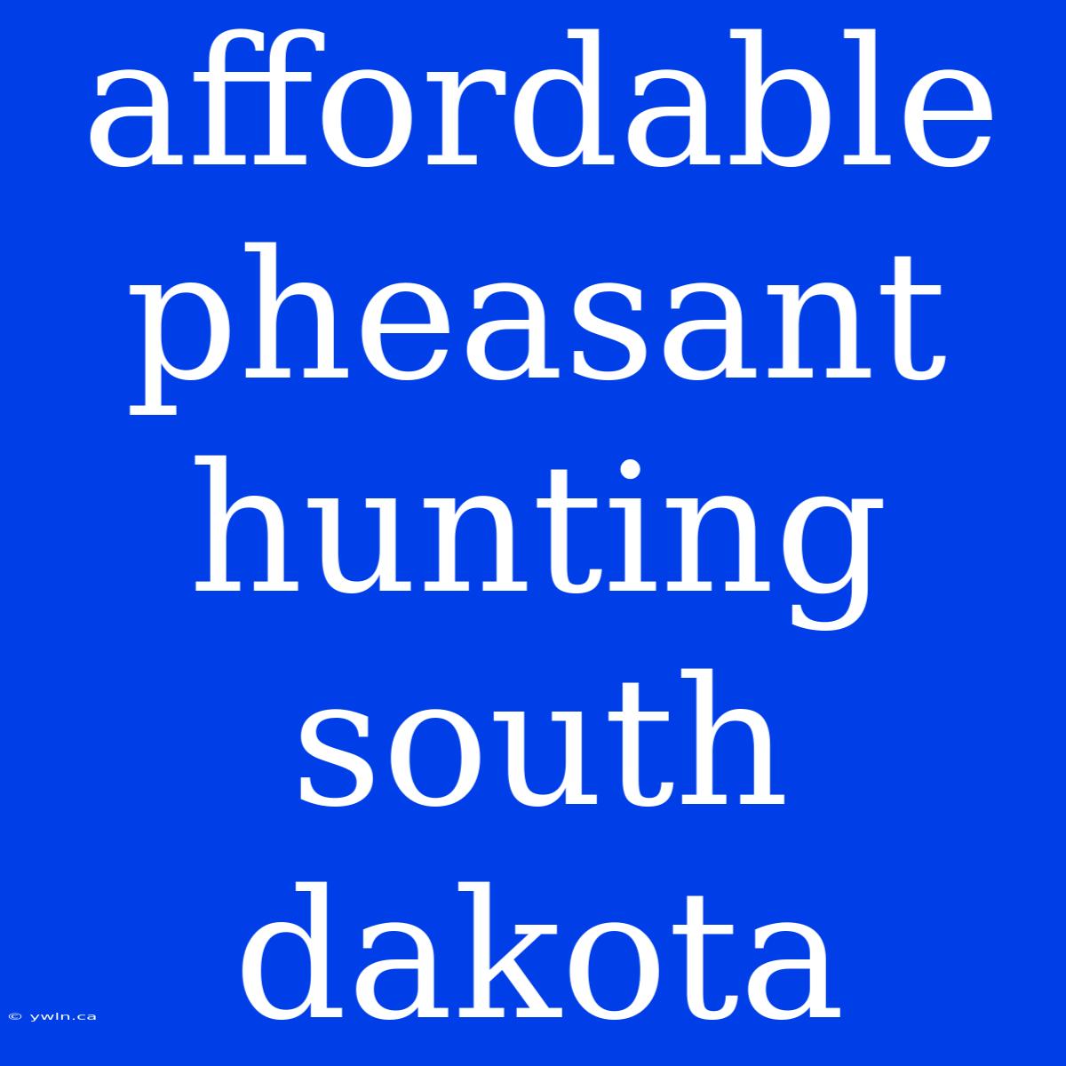 Affordable Pheasant Hunting South Dakota