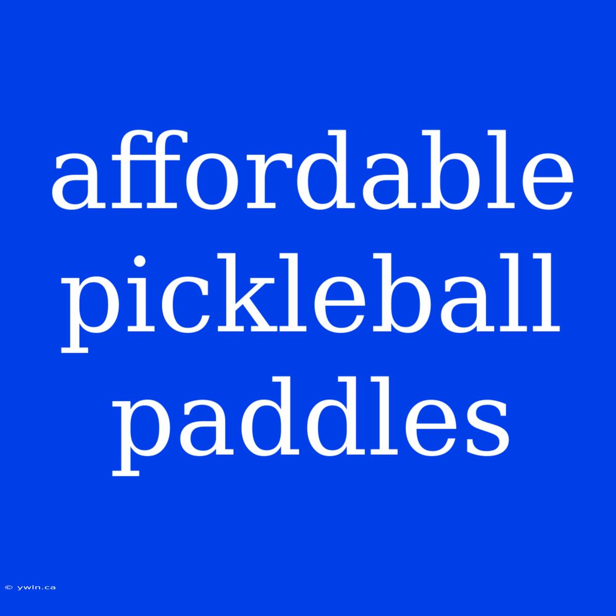 Affordable Pickleball Paddles