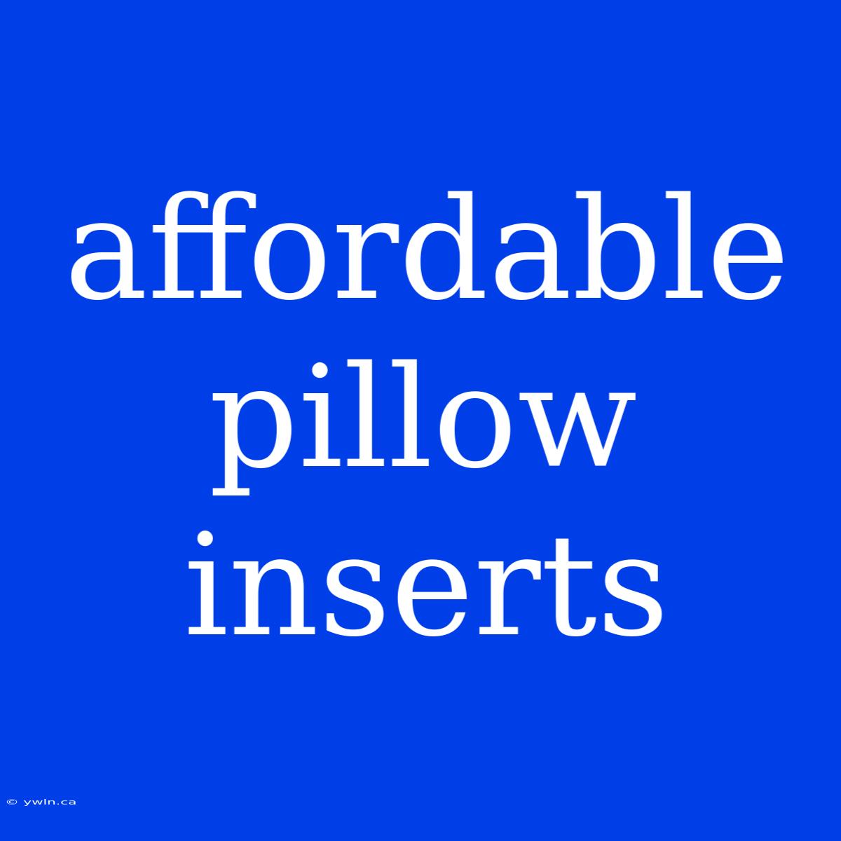 Affordable Pillow Inserts