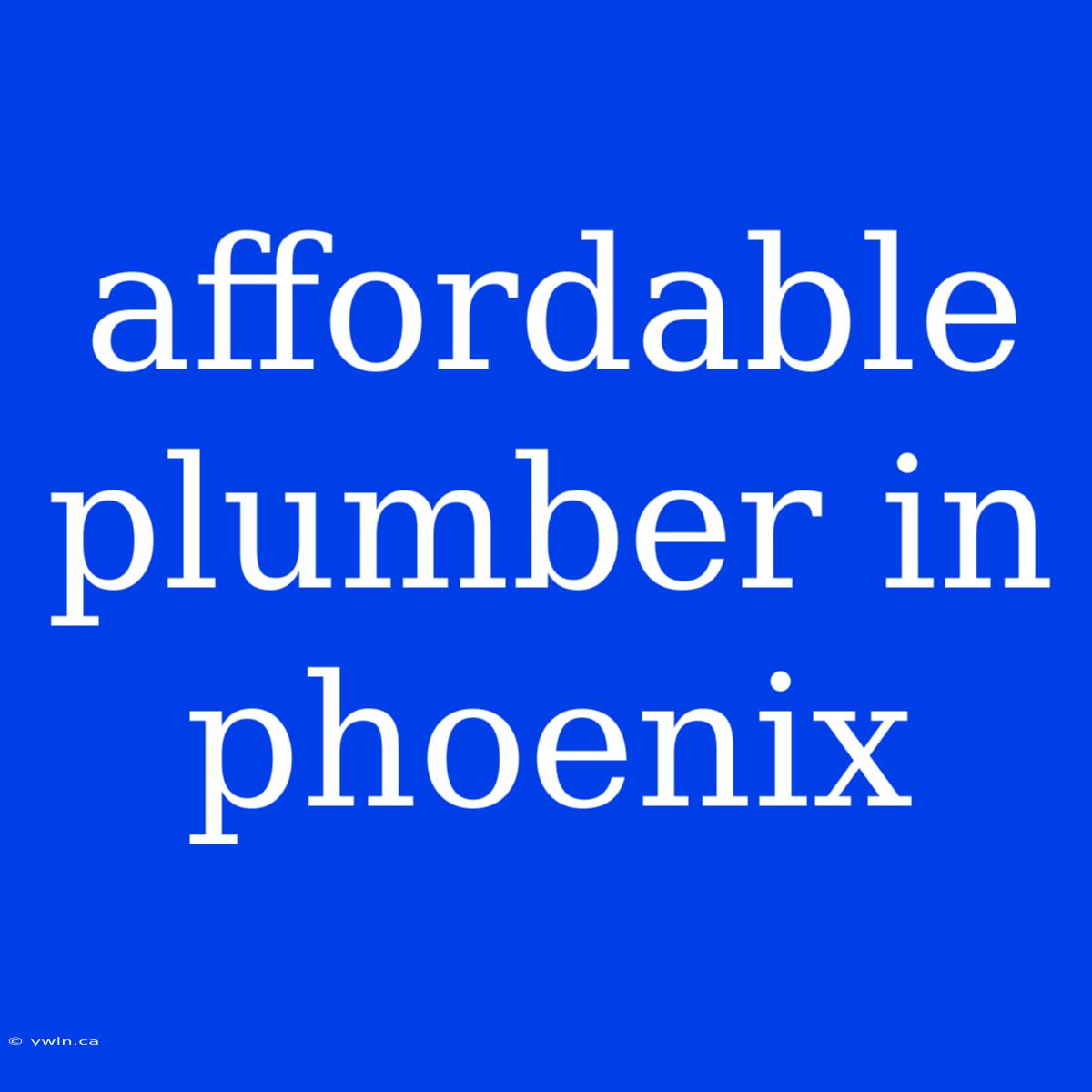 Affordable Plumber In Phoenix