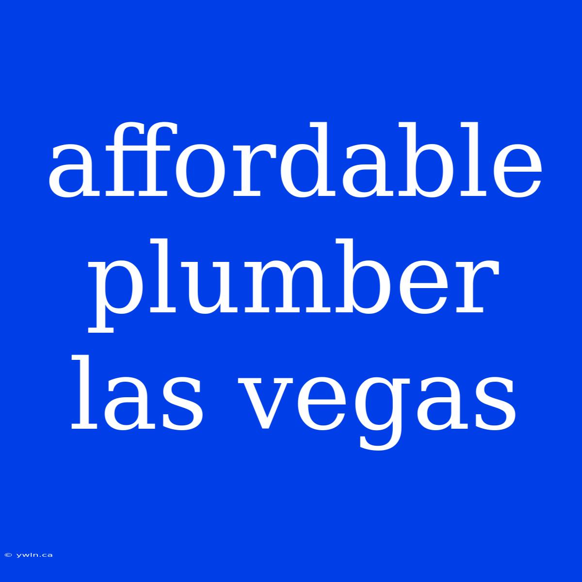 Affordable Plumber Las Vegas