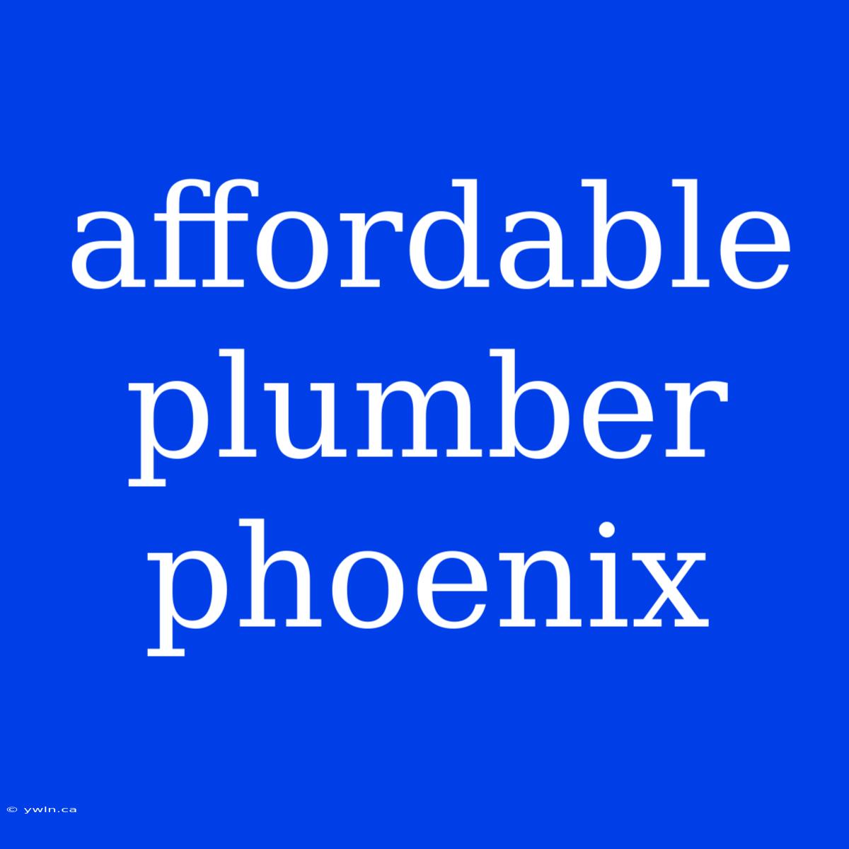 Affordable Plumber Phoenix