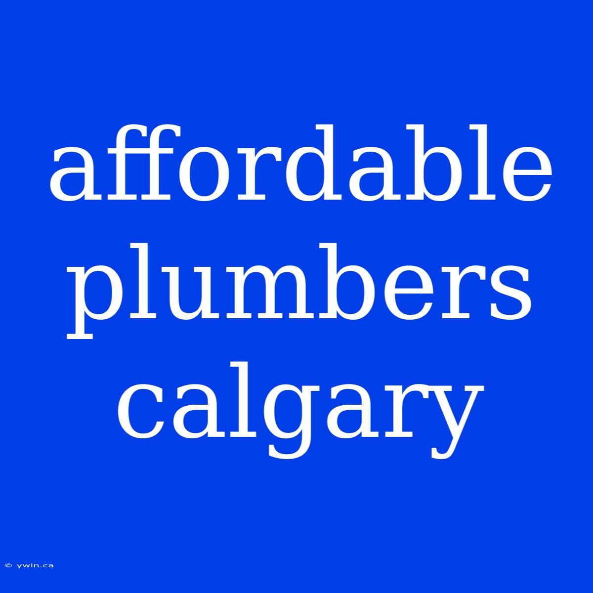 Affordable Plumbers Calgary