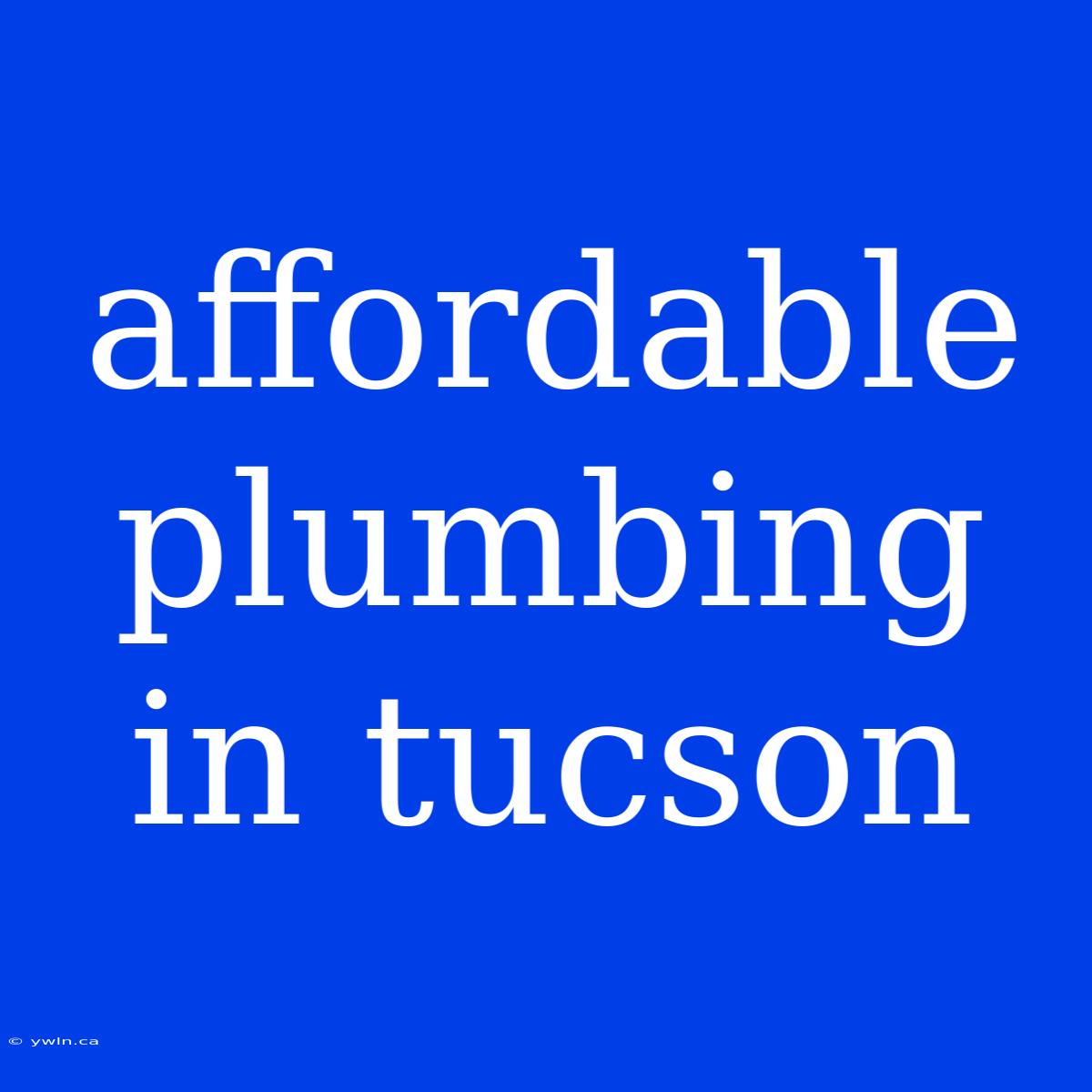 Affordable Plumbing In Tucson