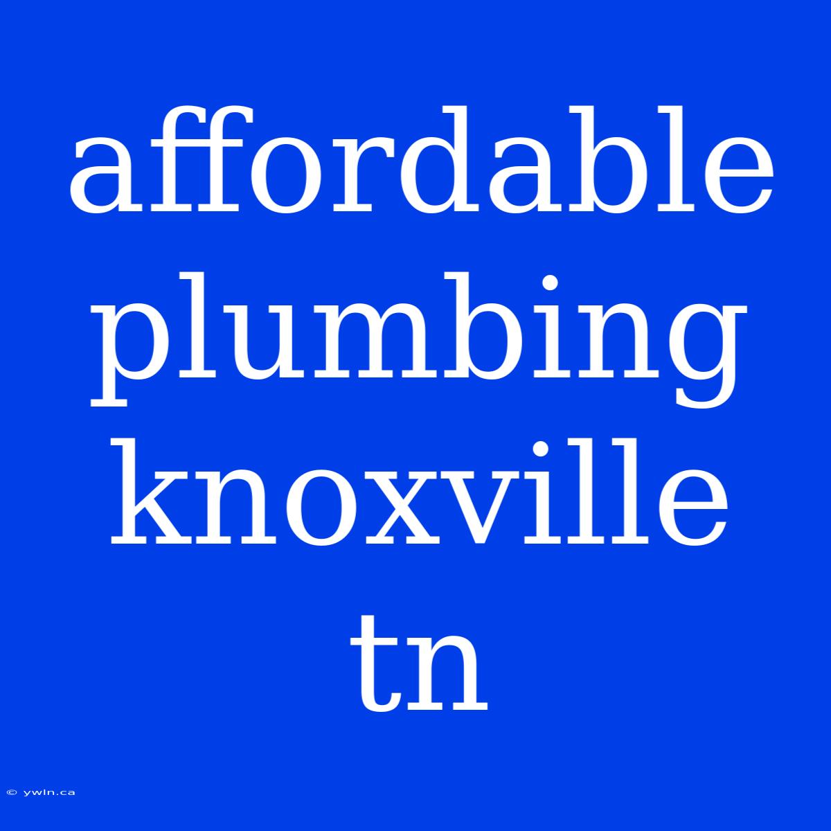 Affordable Plumbing Knoxville Tn