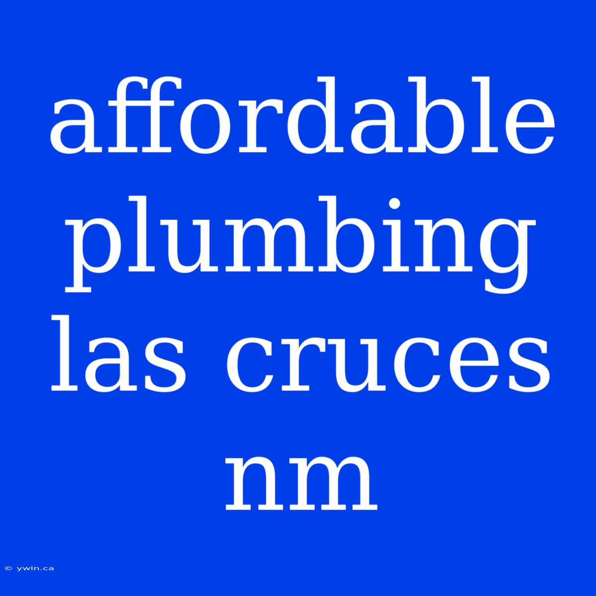 Affordable Plumbing Las Cruces Nm