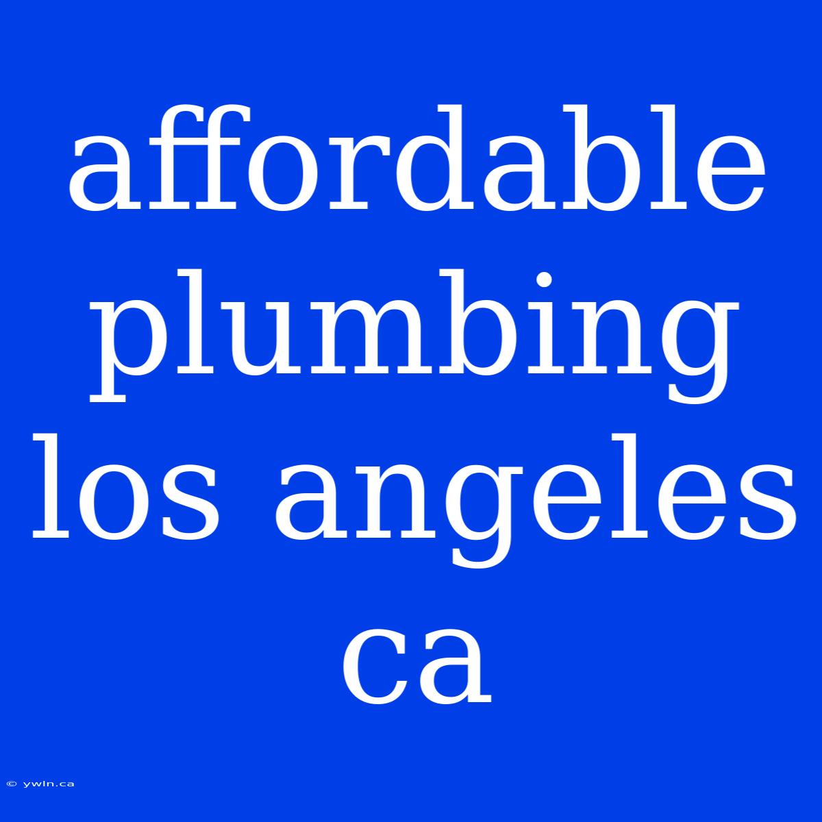 Affordable Plumbing Los Angeles Ca