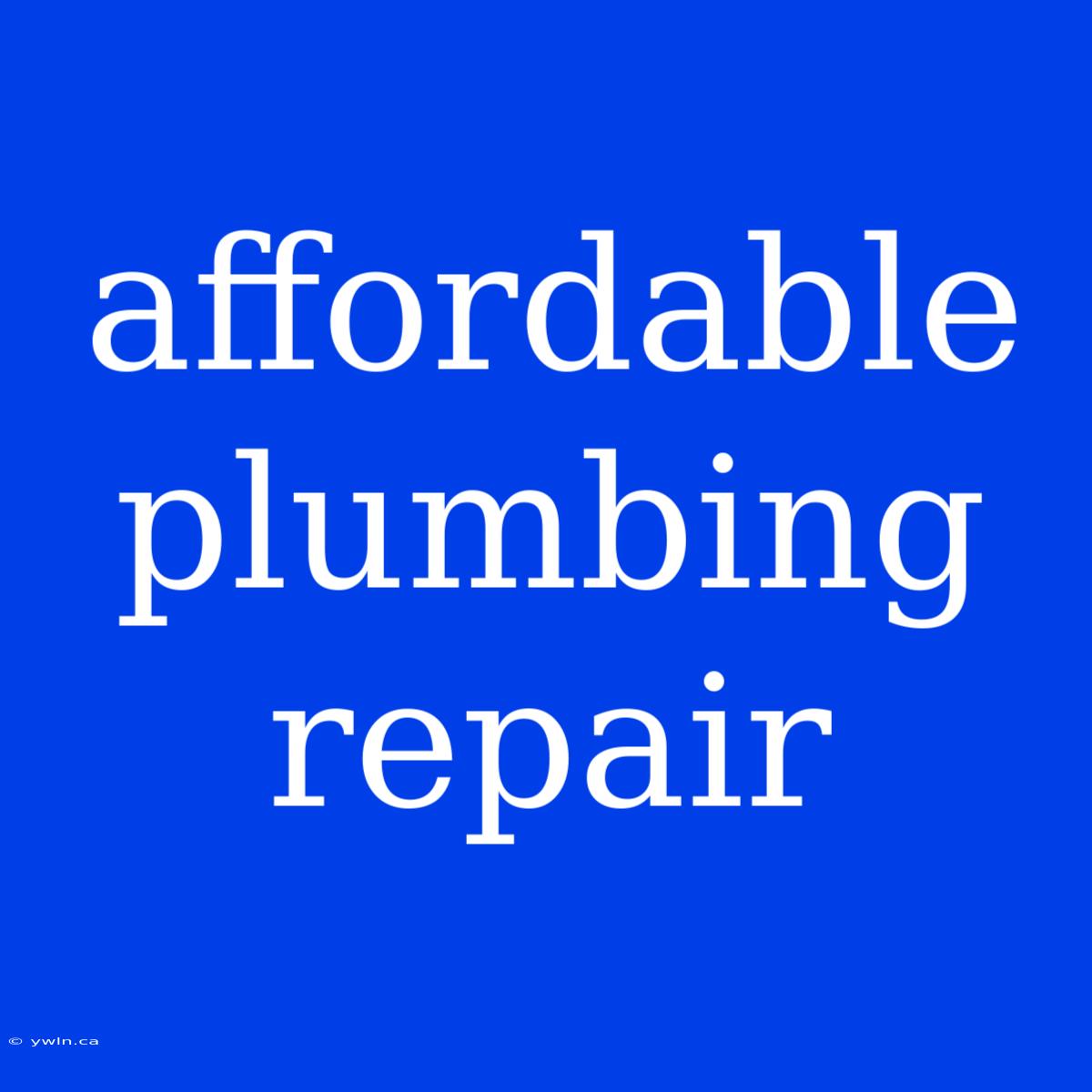 Affordable Plumbing Repair