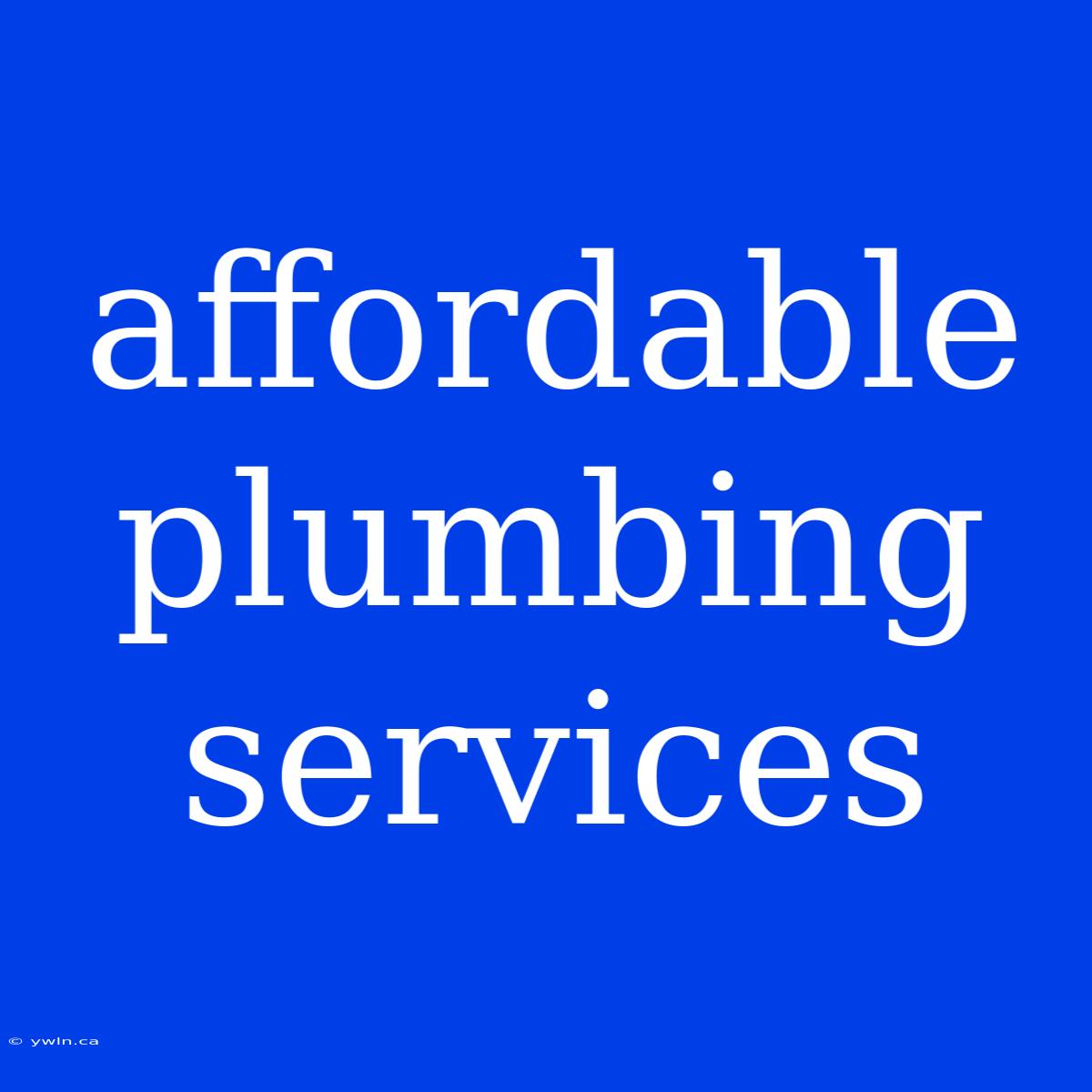 Affordable Plumbing Services