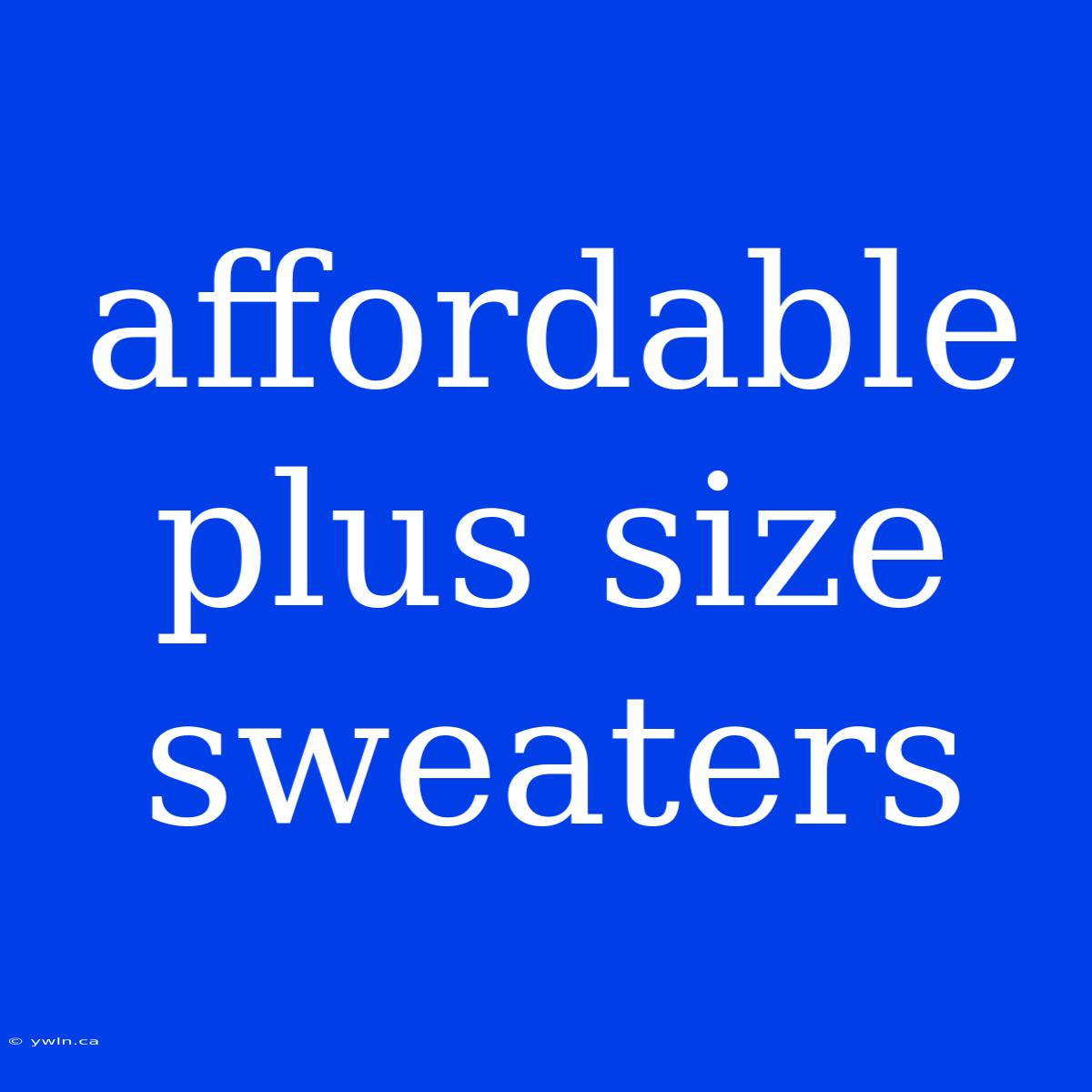 Affordable Plus Size Sweaters