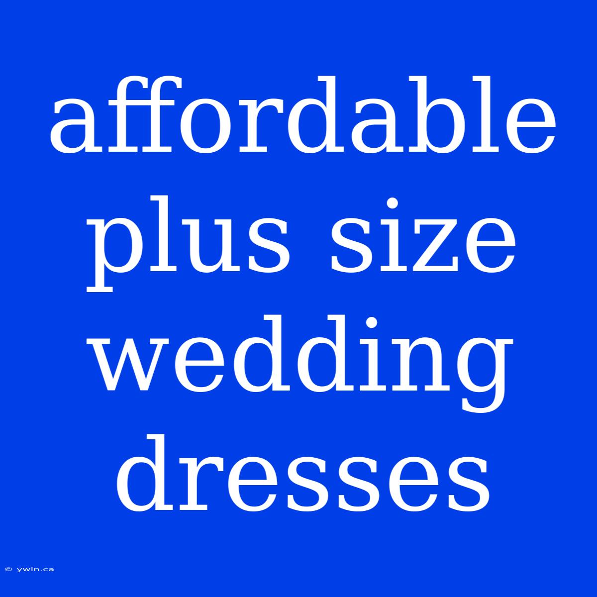 Affordable Plus Size Wedding Dresses