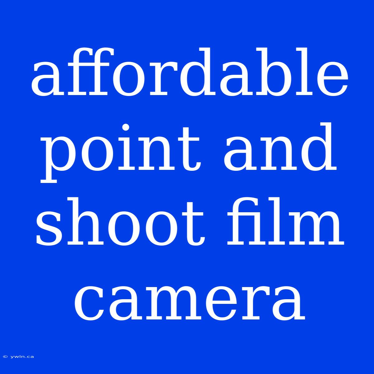 Affordable Point And Shoot Film Camera