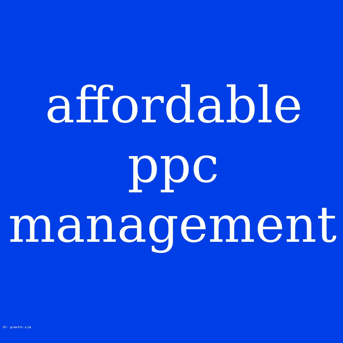 Affordable Ppc Management