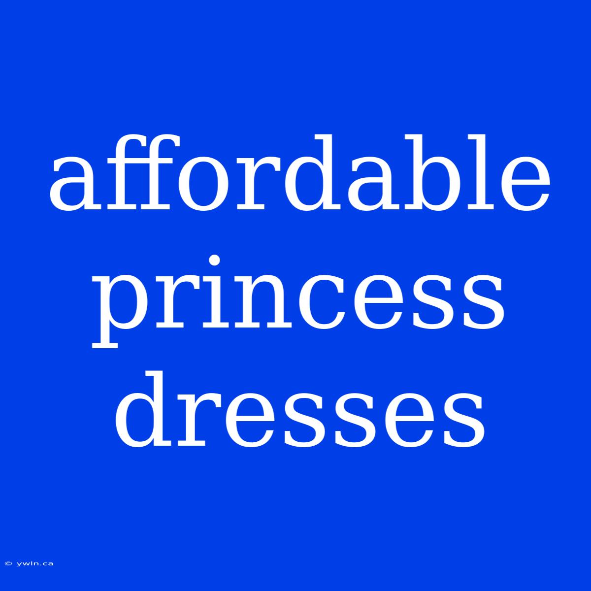 Affordable Princess Dresses