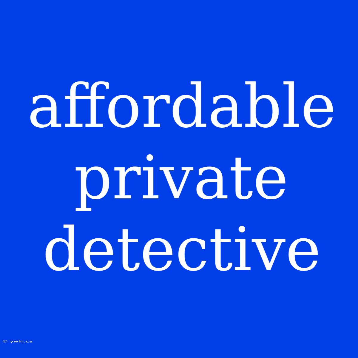 Affordable Private Detective