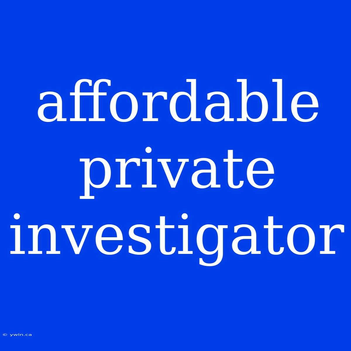 Affordable Private Investigator