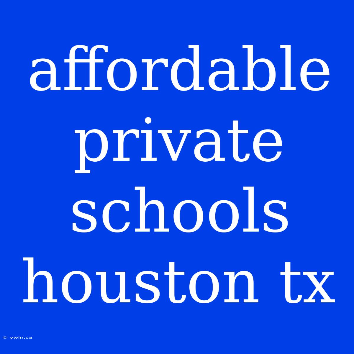 Affordable Private Schools Houston Tx