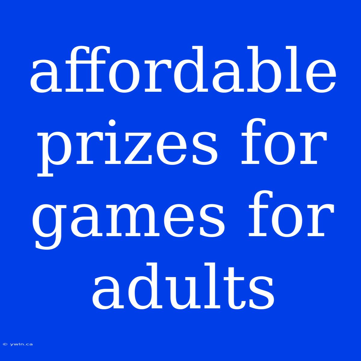 Affordable Prizes For Games For Adults