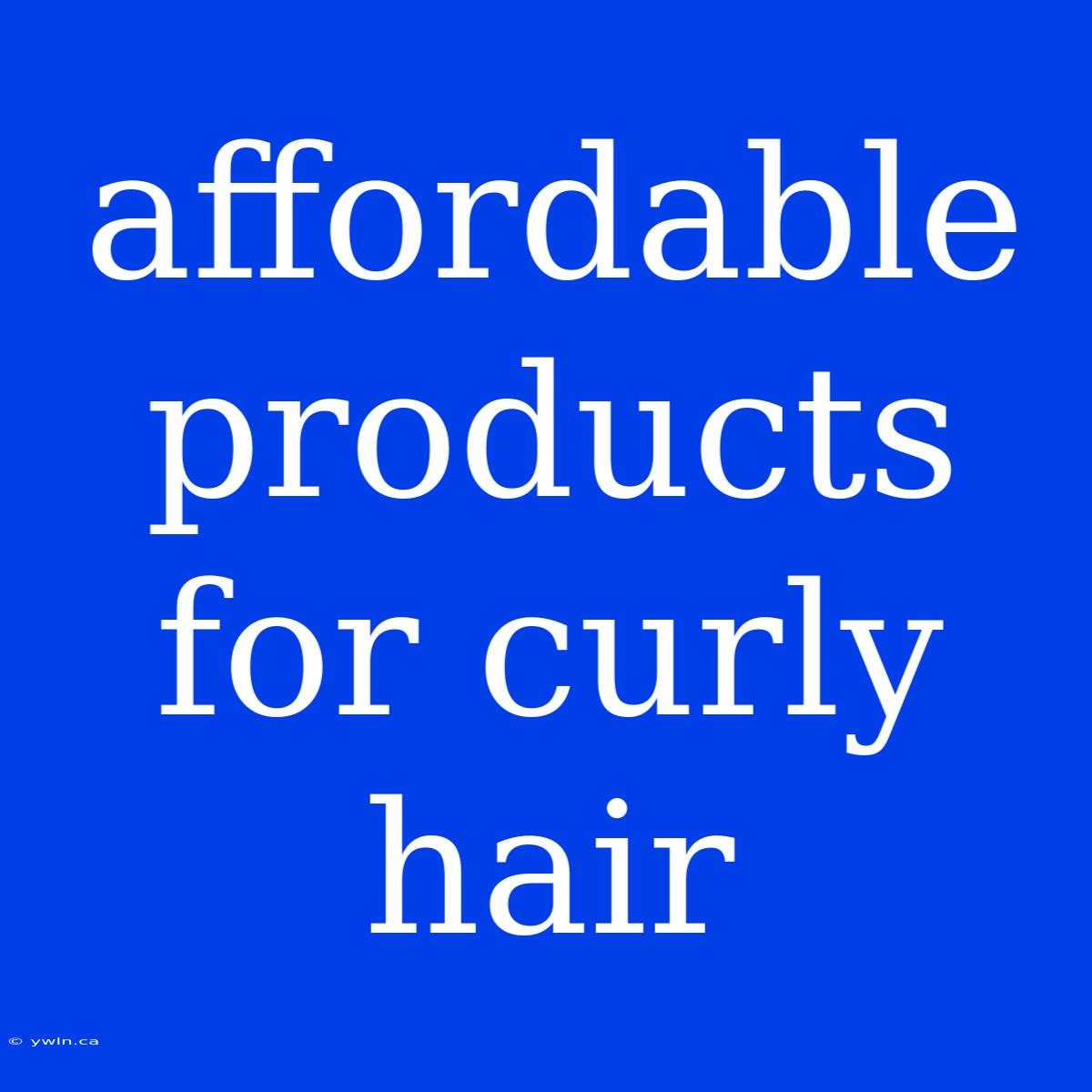 Affordable Products For Curly Hair