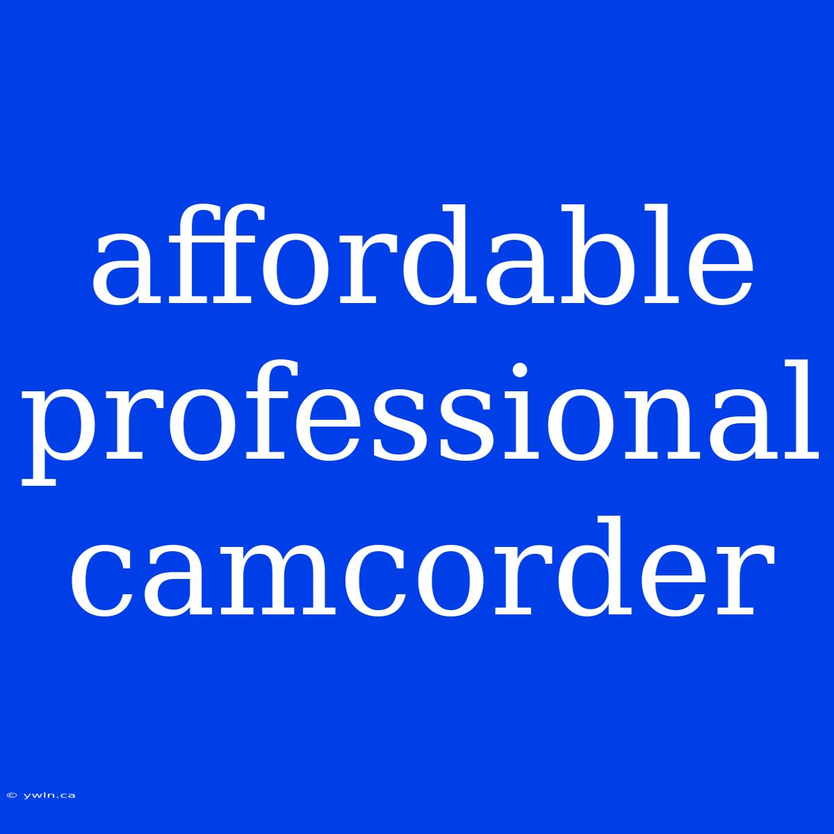 Affordable Professional Camcorder