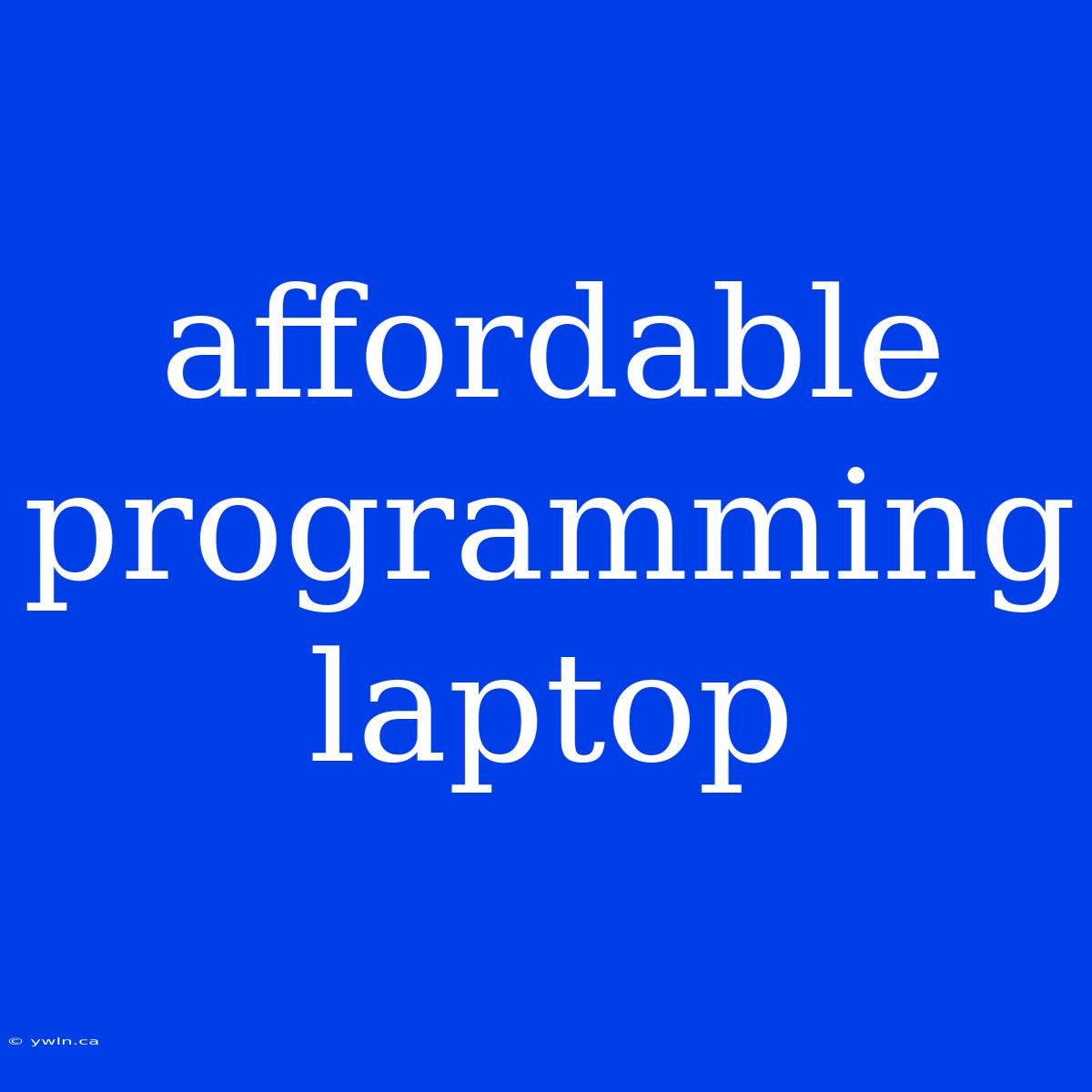 Affordable Programming Laptop