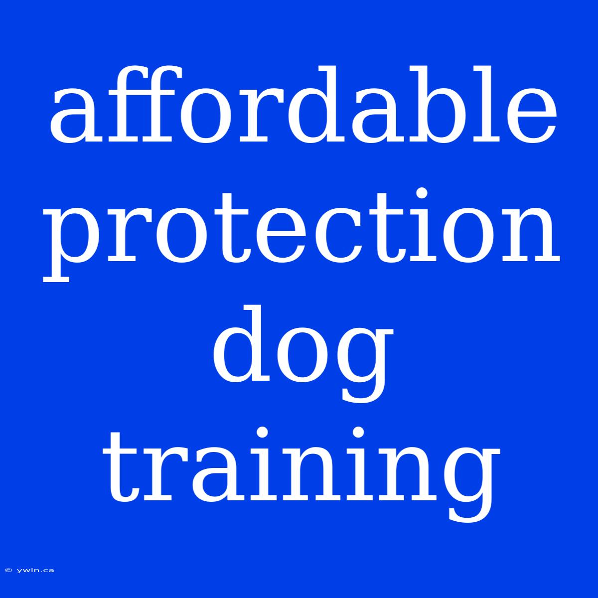 Affordable Protection Dog Training