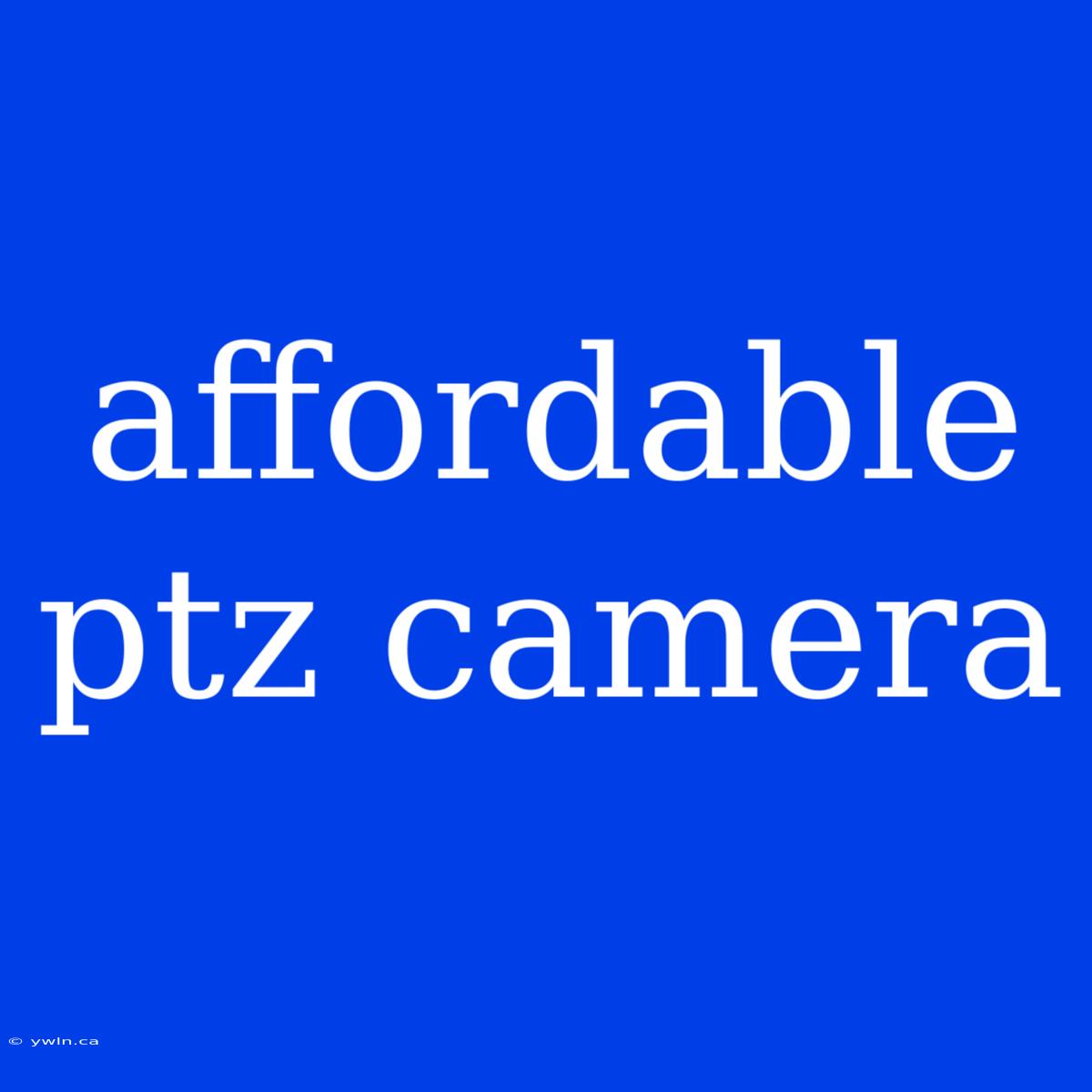 Affordable Ptz Camera