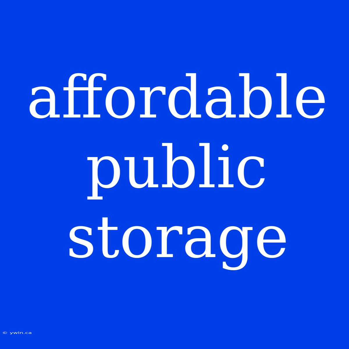 Affordable Public Storage