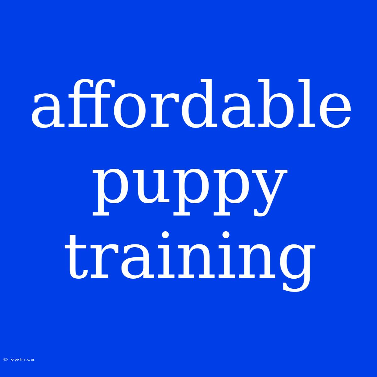 Affordable Puppy Training