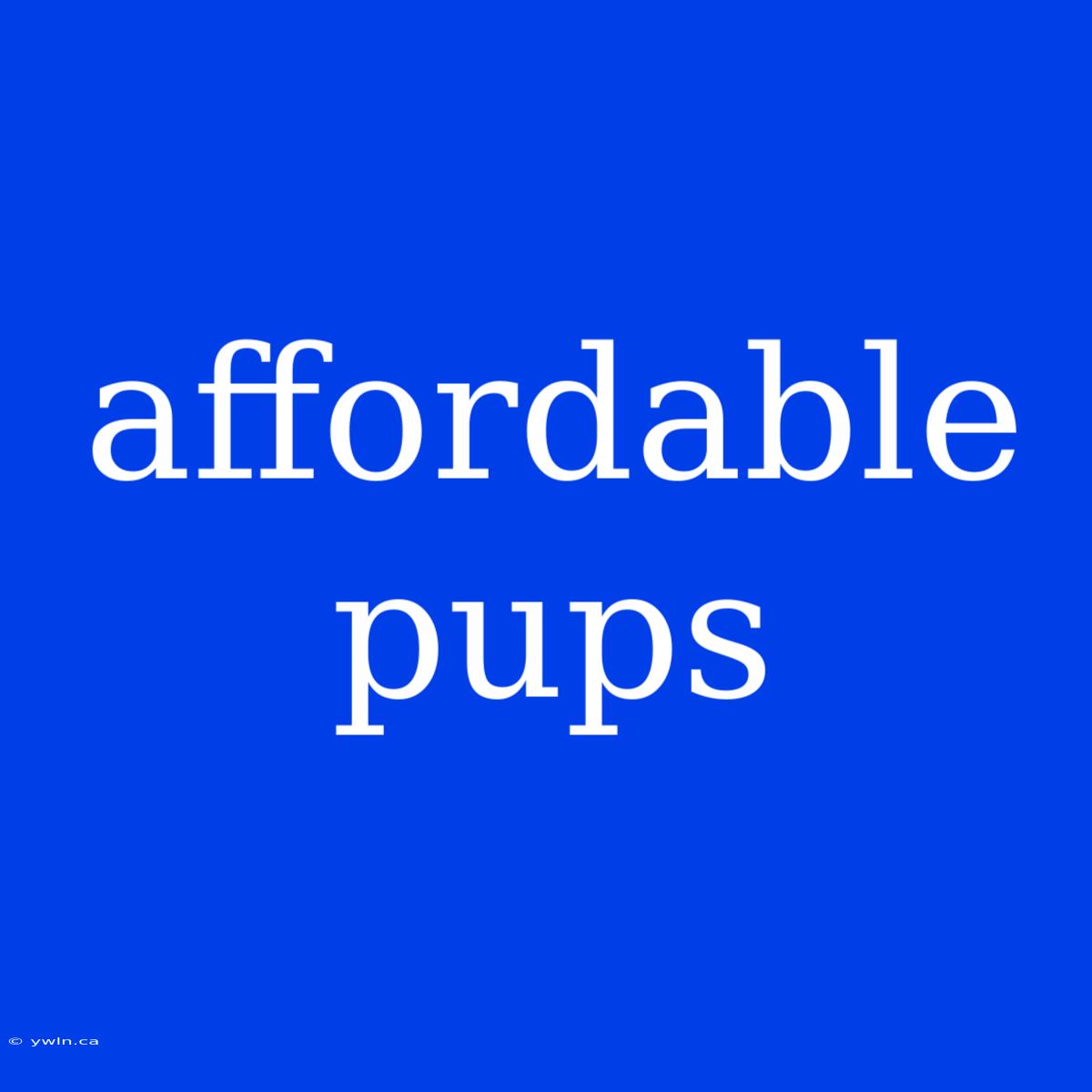 Affordable Pups