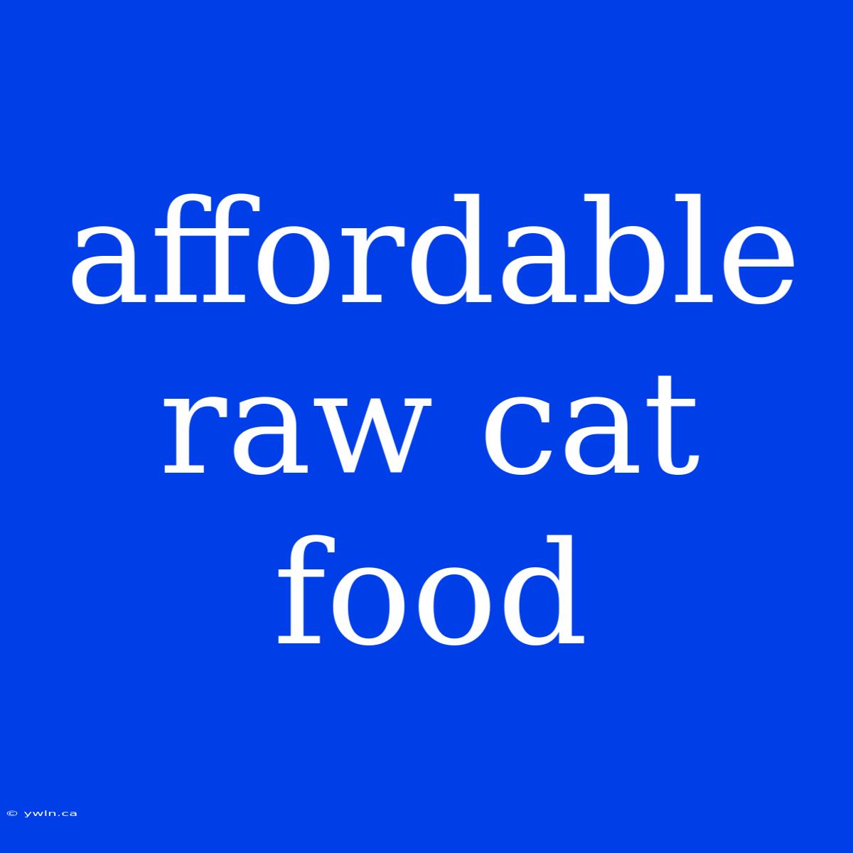 Affordable Raw Cat Food