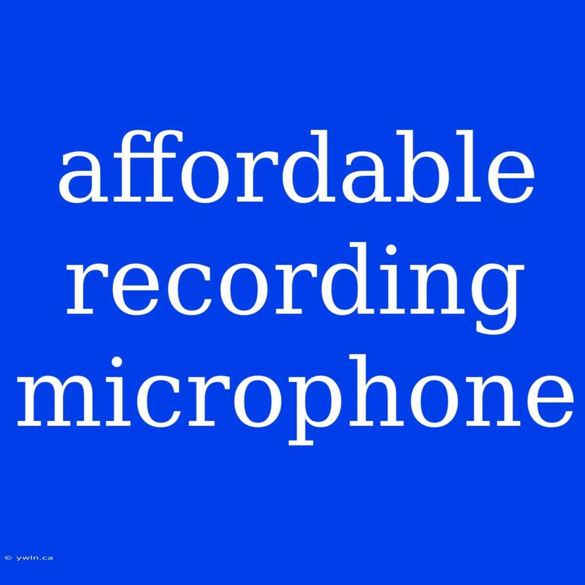 Affordable Recording Microphone