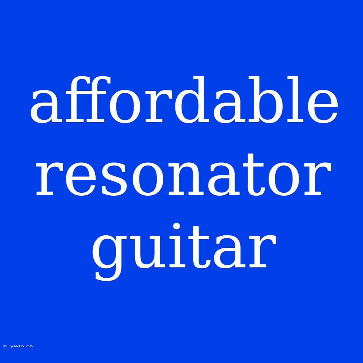 Affordable Resonator Guitar