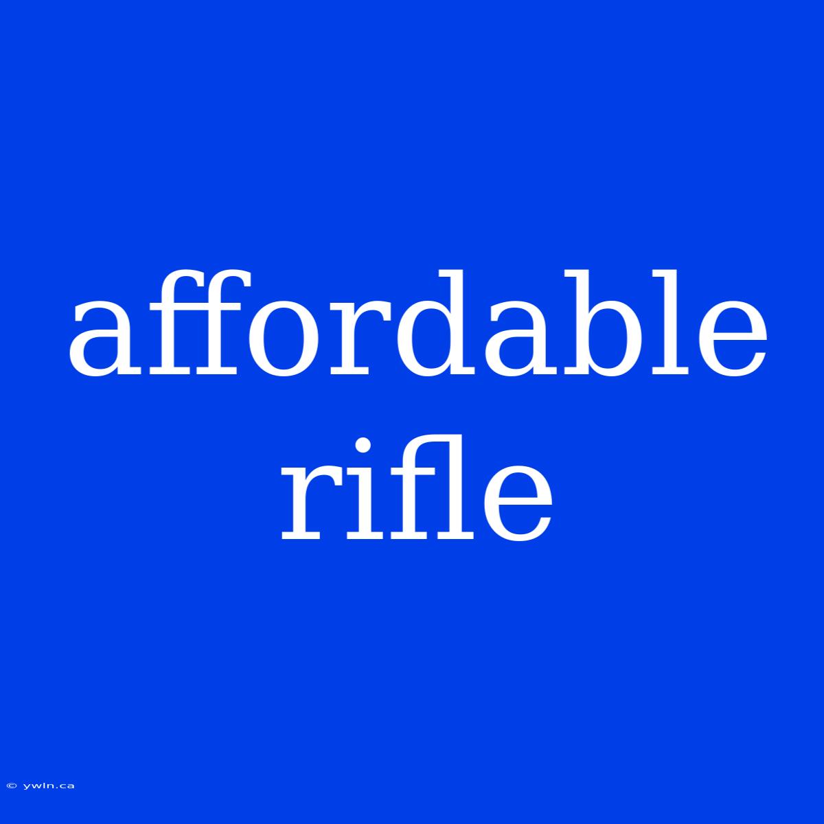 Affordable Rifle