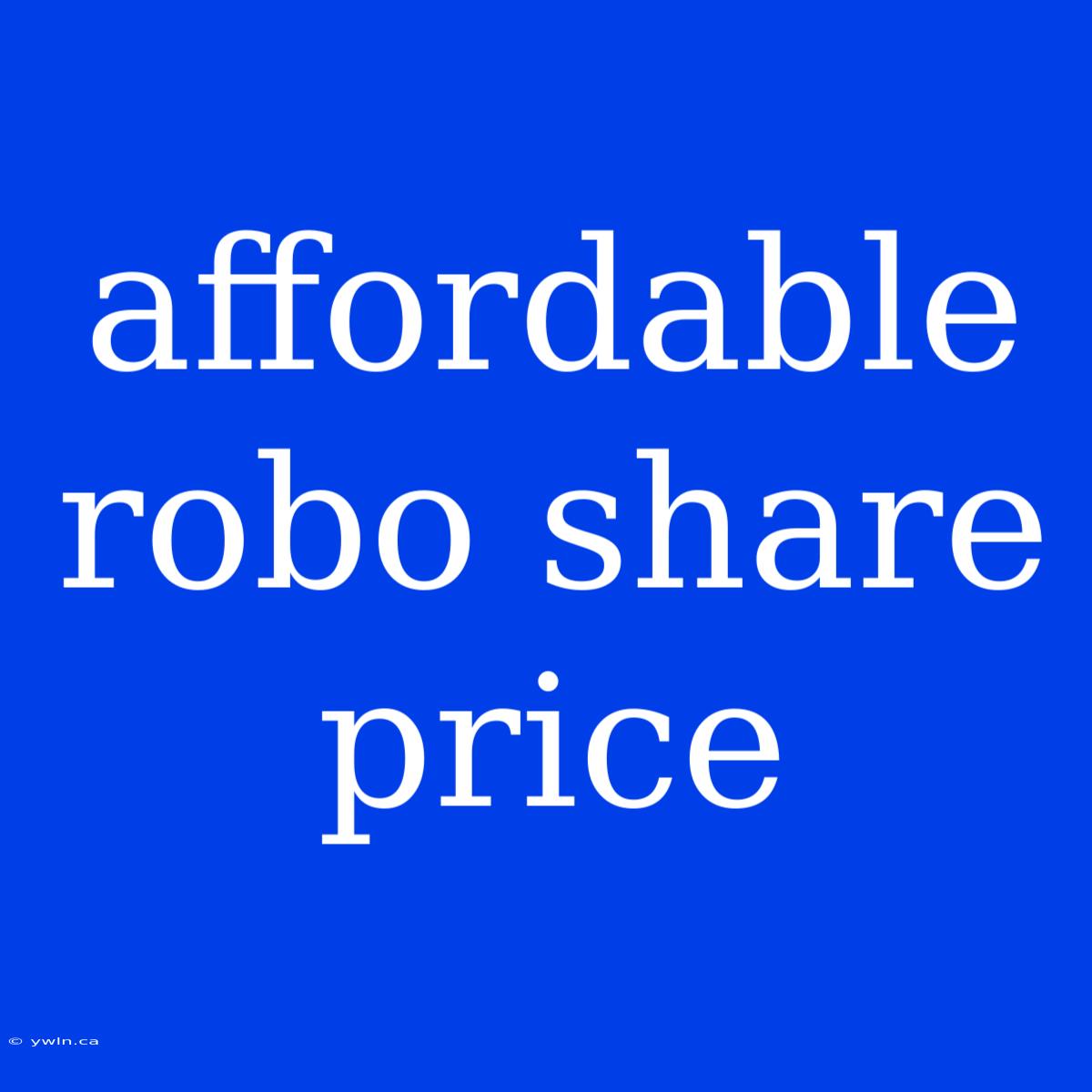 Affordable Robo Share Price