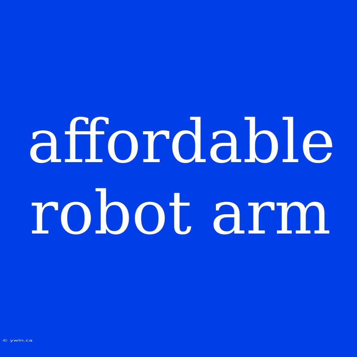 Affordable Robot Arm